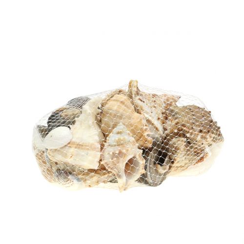 Floristik24 Skalsortiment naturell 500g