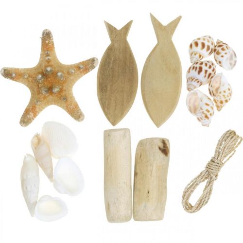 Gör-det-själv-box Maritime Natursnäckor trädekorationsset assorterad