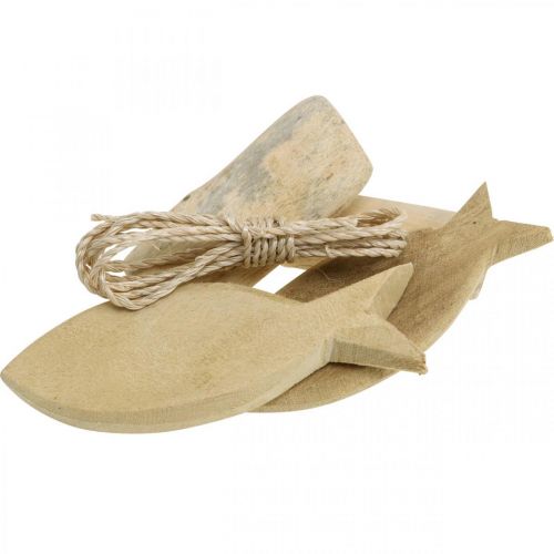 Floristik24 Gör-det-själv-box Maritime Natursnäckor trädekorationsset assorterad