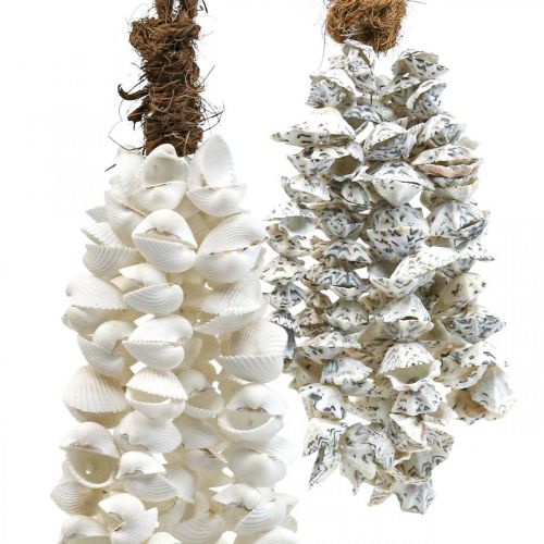 Floristik24 Skal skal halsband skal hänge deco maritime 2st