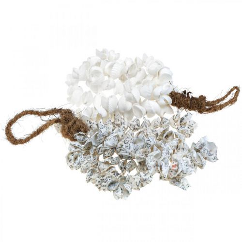 Floristik24 Skal skal halsband skal hänge deco maritime 2st