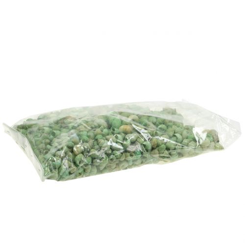 Floristik24 Snigelskal sortiment grönt 1kg