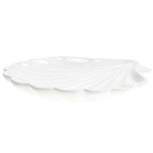 Floristik24 Dekorativ skalskal vit 15cm x 16 cm 3st