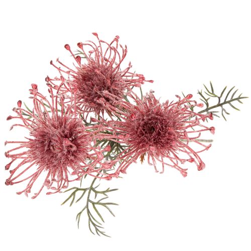 Konstgjord blomma nåldyna protea blommande gren 65cm 3st | Floristik24.se