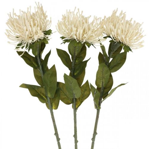Artikel Nålkudde konstgjorda blommor exotiska Protea Leucospermum kräm 73cm 3st