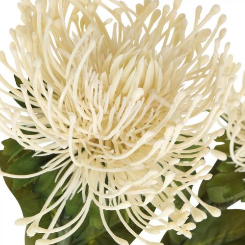 Artikel Nålkudde konstgjorda blommor exotiska Protea Leucospermum kräm 73cm 3st