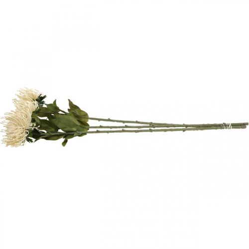 Artikel Nålkudde konstgjorda blommor exotiska Protea Leucospermum kräm 73cm 3st