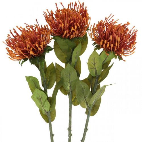 Floristik24 Nålkudde Exotisk konstgjord blomma Orange Leucospermum Protea 73cm 3st