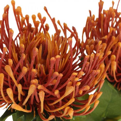 Artikel Nålkudde Exotisk konstgjord blomma Orange Leucospermum Protea 73cm 3st