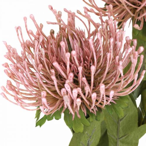 Floristik24 Höstblomma nålkudde konstgjord Protea Rosa Leucospermum 73cm 3st