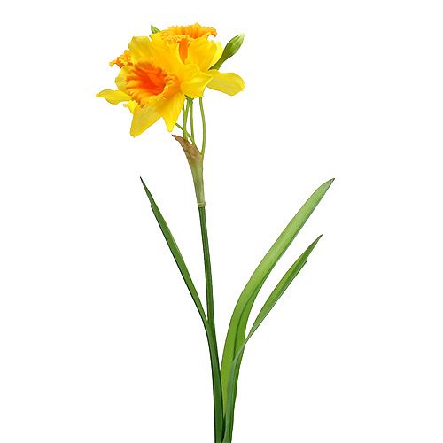 Floristik24 Påskliljegul L40cm