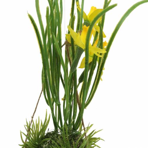 Floristik24 Påsklilja i äggskalet för att hänga Artificiell gul 25cm