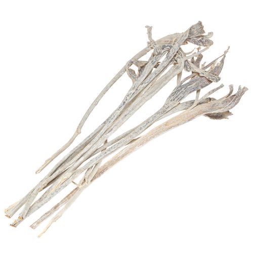 Artikel Natraj Antler Wood Mix White Washed 10 st