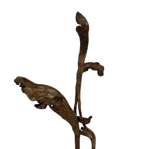 Natraj Antler Wood Mix Natural 10 st