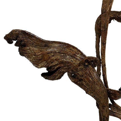 Artikel Natraj Antler Wood Mix Natural 10 st