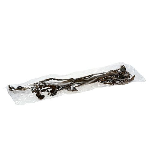 Artikel Natraj Antler Wood Mix Natural 10 st