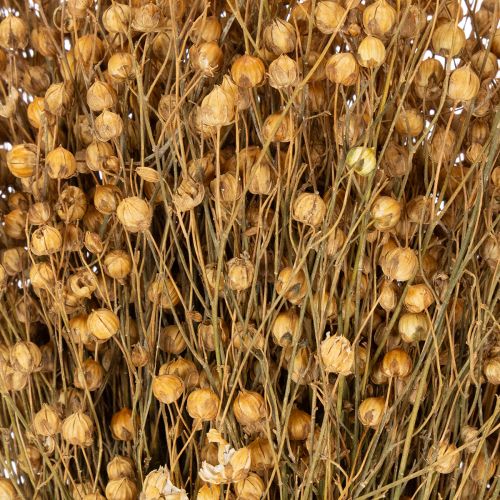 Artikel Naturliga torkade lingräs för torkade blomsterarrangemang Linum Natur 60cm 180g