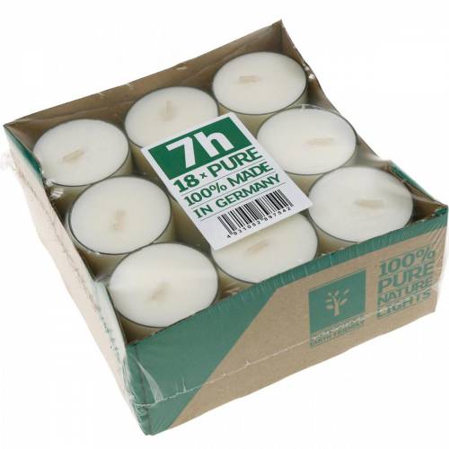 Floristik24 PURE Nature Lights värmeljus Rapsvax Naturlig brinntid 7 timmar 18 st
