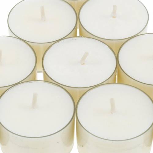 Floristik24 PURE Nature Lights värmeljus Rapsvax Naturlig brinntid 7 timmar 18 st