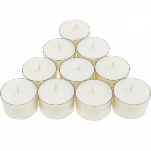 Floristik24 PURE Nature Lights värmeljus Rapsvax Naturlig brinntid 7 timmar 18 st