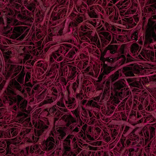 Artikel Naturliga tamarindfiber hantverkstillbehör, vinröd, 500g - Dekoration, Blomsterdekorationer, Kreativitet