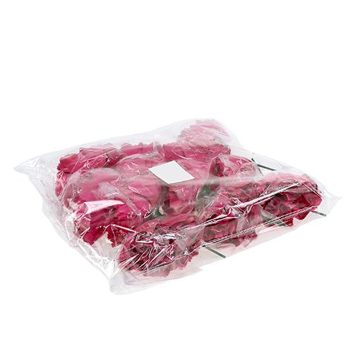 Floristik24 Nejlika Rosa Ø9cm L11cm 12 st