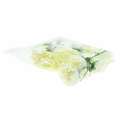 Artikel Nejlikablom vit Ø9cm 12st