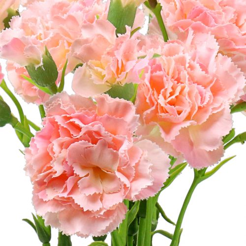 Floristik24 Nejlika rosa 64cm 4st