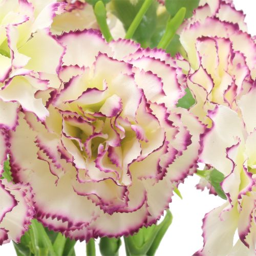 Artikel Nejlika Vit-Lila 64cm 4 st