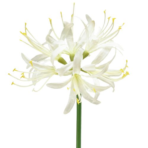 Nerine Guernsey Lily Konstblomma Vit Gul Ø15cm L65cm