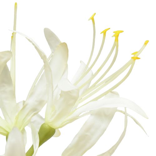 Artikel Nerine Guernsey Lily Konstblomma Vit Gul Ø15cm L65cm