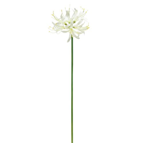 Artikel Nerine Guernsey Lily Konstblomma Vit Gul Ø15cm L65cm