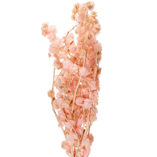 Torkad blomstjälk skapar en romantisk atmosfär i alla vardagsrum (75 cm)