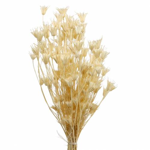 Torkade blomfrön Svart spiskummin blekt 100g