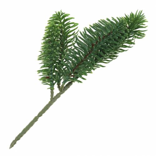 Floristik24 Nobilis grangren konstgrön 24cm 12st