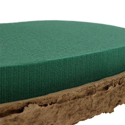Artikel OASIS® Biolit® hjärta stort 34cm 2 st