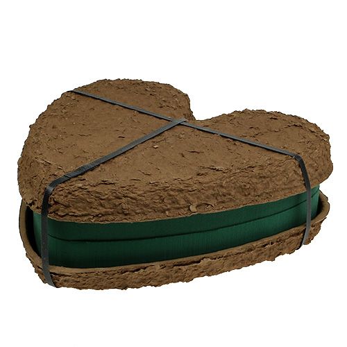 Artikel OASIS® Biolit® hjärta stort 34cm 2 st