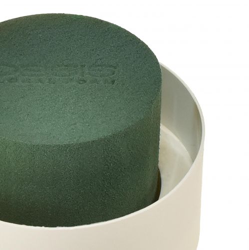 Artikel OASIS® Bordsdesign Viva Ø11cm 12 st