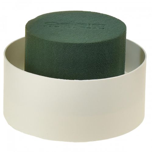 Artikel OASIS® Bordsdesign Viva Ø11cm 12 st