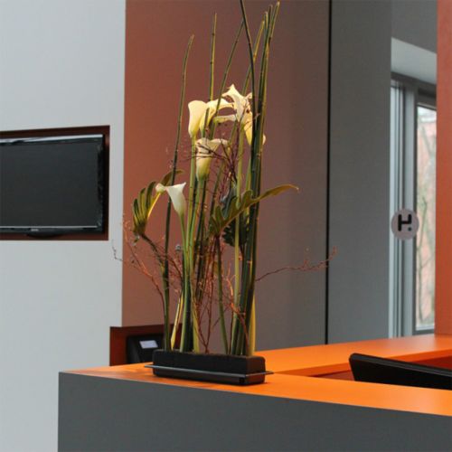 Artikel OASIS® Black Table Deco Medi Floral Foam 4 st
