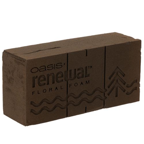 Oasis Renewal Blomskum 23cm 1 Kloss köpa | Floristik24.se