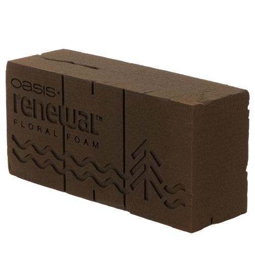 Oasis Renewal Blomskum 23cm 1 Kloss | Floristik24.se