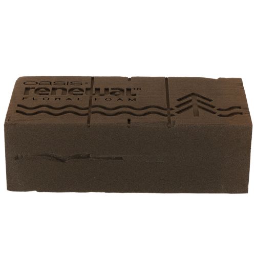Oasis Renewal Blomskum 23cm 1 Kloss | Floristik24.se