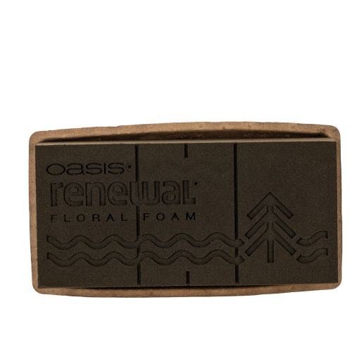 Blomskum 1/1 tegelsten OASIS® Renewal® Blomskum Biolit® 24cm 2st