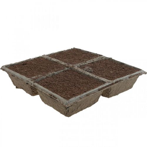 Floristik24 OASIS® TerraBrick™ Hållbar plug-in-blandning gjord av kokosfiber 8 delar