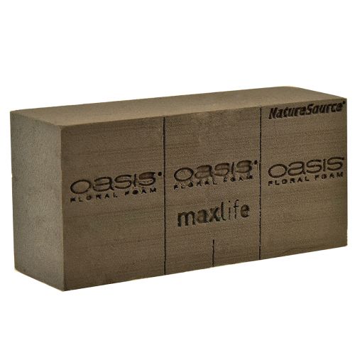 Floristik24 Oasis NatureSource Maxlife Floral Foam Tegel Brun 23×11×7,5 cm 1 st