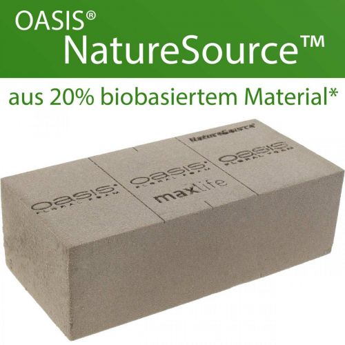OASIS® BIOLIT® NatureSource tegelblommigt skum 23cm×11cm×7cm 10 stycken