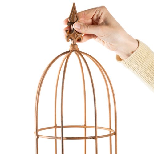 Artikel Trädgårdsspaljé, klätterhjälpmedel för rosor och andra klätterväxter, idealisk trädgårdsdesign, 108 cm, set om 2.