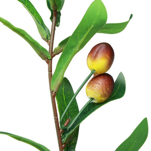Artikel Olivgren konstgjord oliv dekorativ gren 45cm