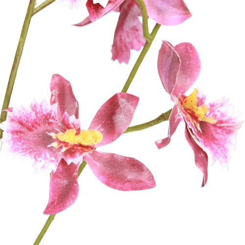 Artikel Oncidium konstgjorda orkidéer Dekoration Rosa Violett 93cm 2st